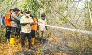 WhatsApp Image 2023-10-17 at 03.02.19 Whatsapp Image 2023 10 17 At 03.02.19