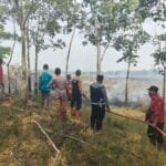 WhatsApp Image 2023-10-30 at 20.46.25 Whatsapp Image 2023 10 30 At 20.46.25