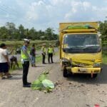 WhatsApp Image 2023-11-08 at 16.16.10 Whatsapp Image 2023 11 08 At 16.16.10