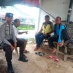 WhatsApp Image 2023-11-09 at 23.11.27 Whatsapp Image 2023 11 09 At 23.11.27