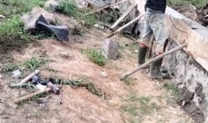 WhatsApp Image 2023-11-17 at 05.30.31(1) Whatsapp Image 2023 11 17 At 05.30.31(1)