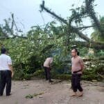 WhatsApp Image 2023-11-22 at 16.24.40 Whatsapp Image 2023 11 22 At 16.24.40