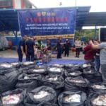 WhatsApp Image 2023-12-13 at 17.20.23 Whatsapp Image 2023 12 13 At 17.20.23