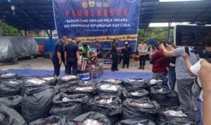 WhatsApp Image 2023-12-13 at 17.20.23 Whatsapp Image 2023 12 13 At 17.20.23