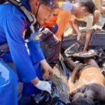 Whatsapp Image 2024 06 30 At 18.04.56