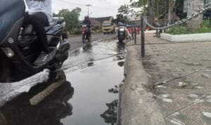 Whatsapp Image 2024 09 24 At 16.41.59 (1)