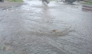 Whatsapp Image 2024 10 06 At 13.31.02