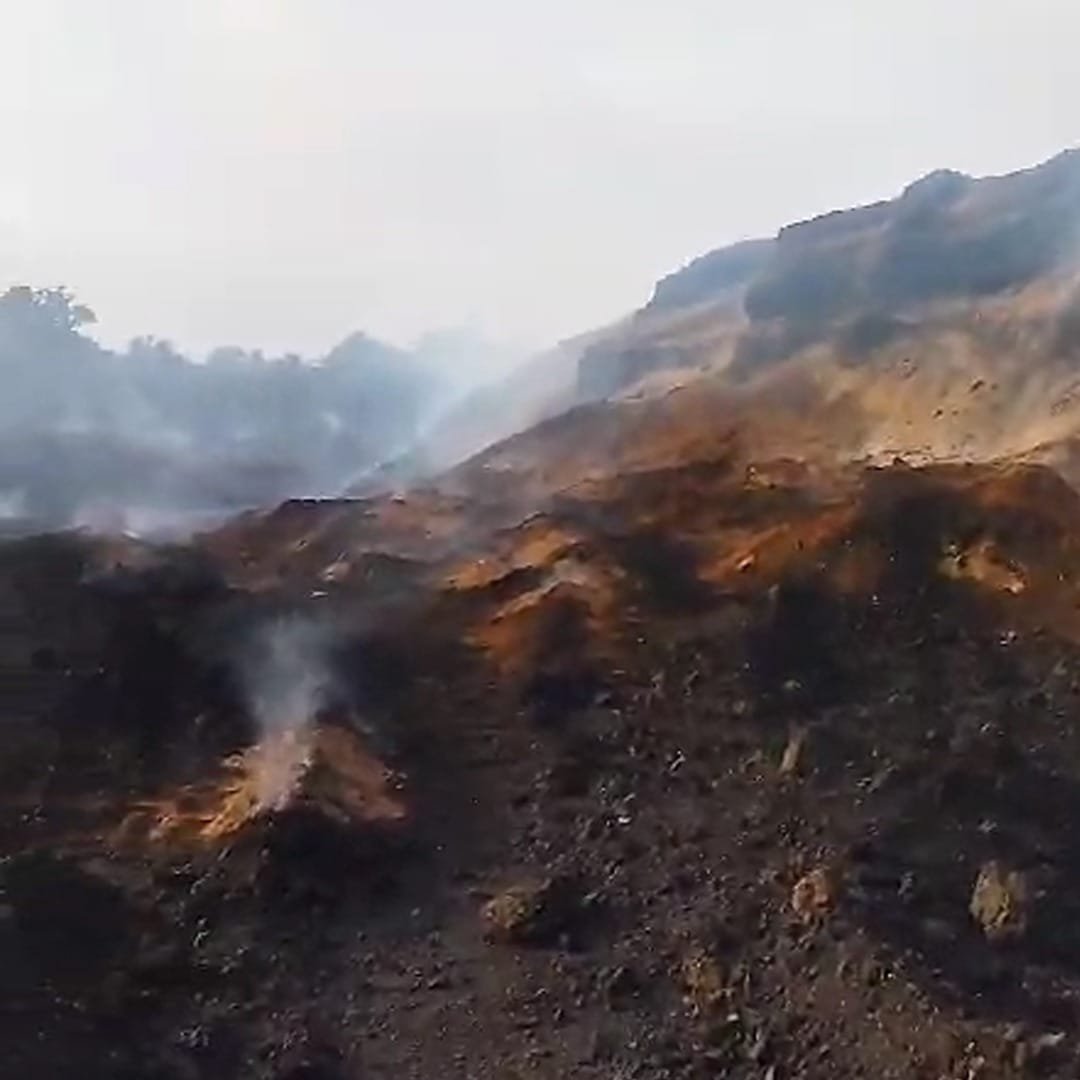 WhatsApp Image 2024-11-11 at 23.01.31 Whatsapp Image 2024 11 11 At 23.01.31