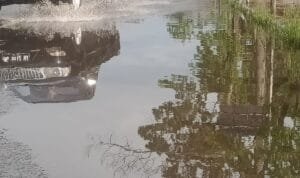 Whatsapp Image 2024 12 24 At 10.04.58