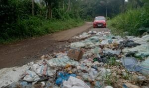 Whatsapp Image 2025 01 30 At 11.49.32 (1)