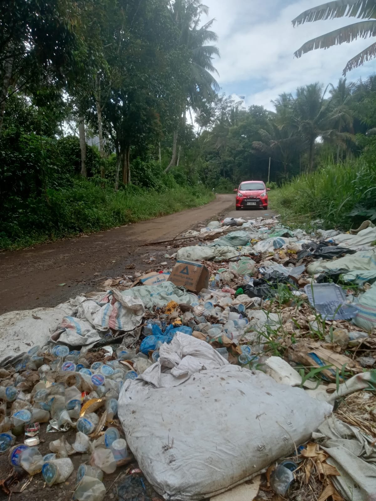 Whatsapp Image 2025 01 30 At 11.49.32 (1)