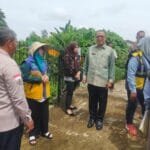 WhatsApp Image 2025-03-11 at 12.20.45 Whatsapp image 2025 03 11 at 12.20.45