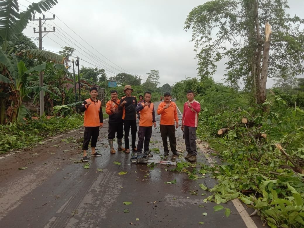 WhatsApp Image 2025-04-13 at 13.45.31 Whatsapp image 2025 04 13 at 13.45.31