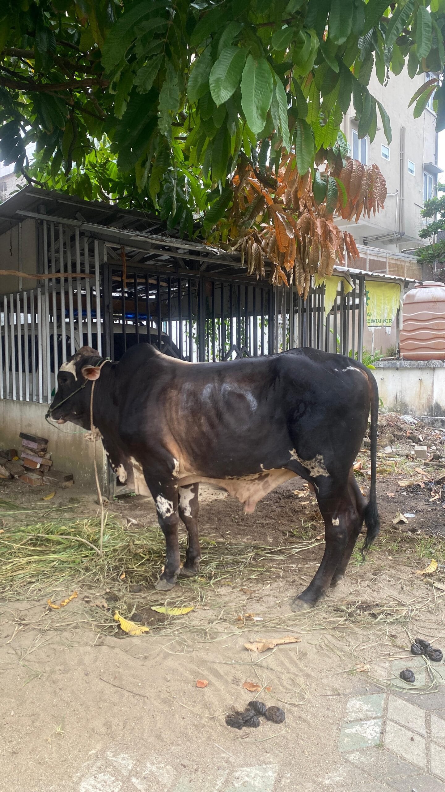 WhatsApp Image 2025-06-06 at 20.54.29 (1) Whatsapp image 2025 06 06 at 20.54.29 (1)