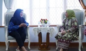 D41833e9 53e4 40a1 b50d 6a93ae7ac4ba