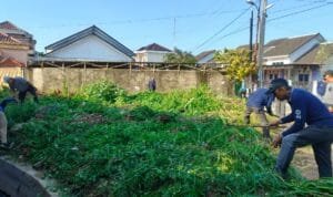 Whatsapp image 2025 10 31 at 09.52.51