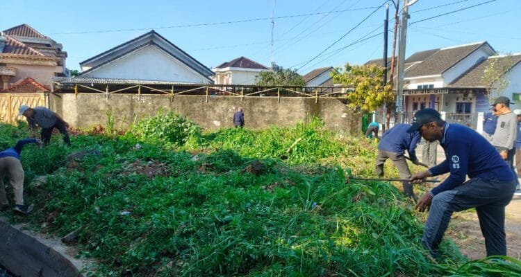 Whatsapp image 2025 10 31 at 09.52.51