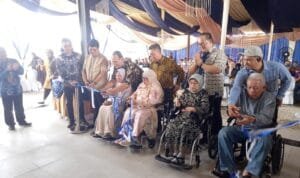 WhatsApp Image 2026 02 08 at 19.40.36