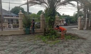 WhatsApp Image 2026-02-14 at 21.56.36 (2) WhatsApp Image 2026 02 14 at 21.56.36 (2)