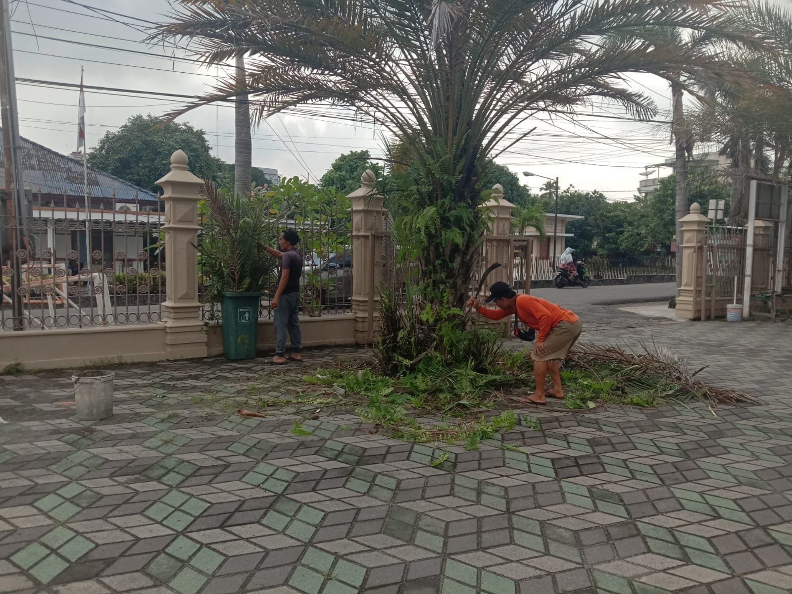 WhatsApp Image 2026 02 14 at 21.56.36 (2)