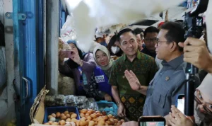 A5ba35bf e30c 4a2e 97d5 22b64ffb824c 1.jpg