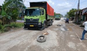 WhatsApp Image 2026 03 07 at 11.00.33