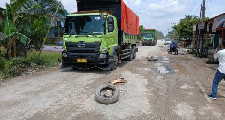 WhatsApp Image 2026 03 07 at 11.00.33