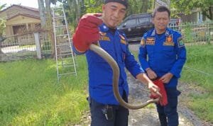 WhatsApp Image 2026 03 20 at 17.08.20 (1)