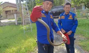 WhatsApp Image 2026-03-20 at 17.08.20 (1) WhatsApp Image 2026 03 20 at 17.08.20 (1)