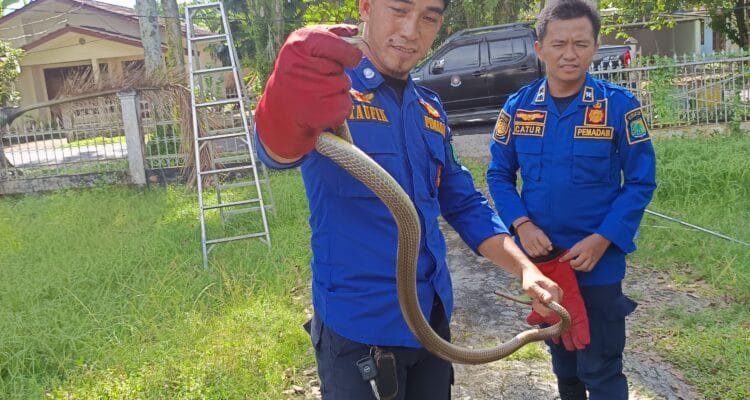 WhatsApp Image 2026-03-20 at 17.08.20 (1) WhatsApp Image 2026 03 20 at 17.08.20 (1)