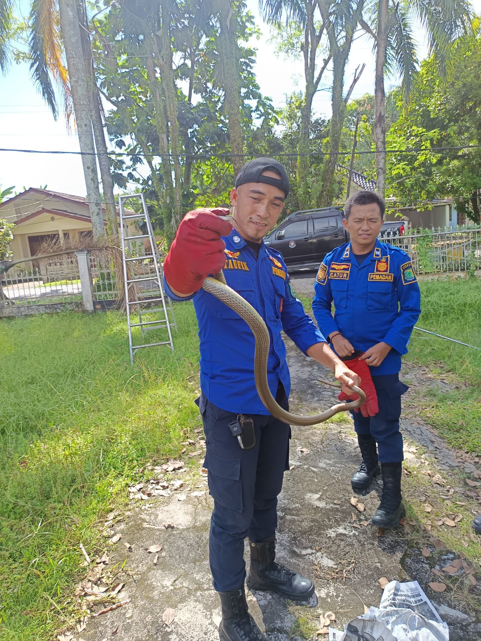 WhatsApp Image 2026-03-20 at 17.08.20 (1) WhatsApp Image 2026 03 20 at 17.08.20 (1)